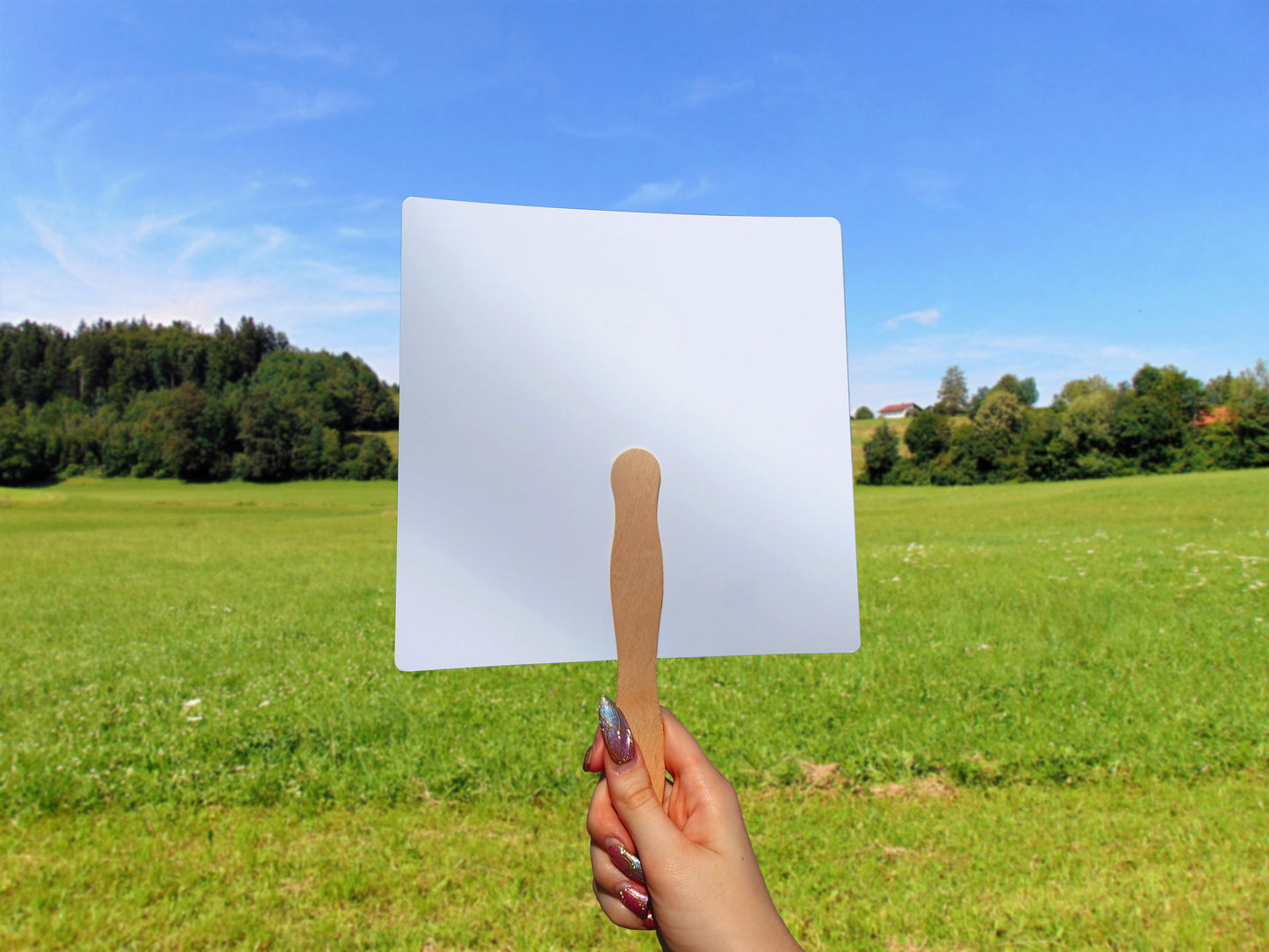 Hand Fans